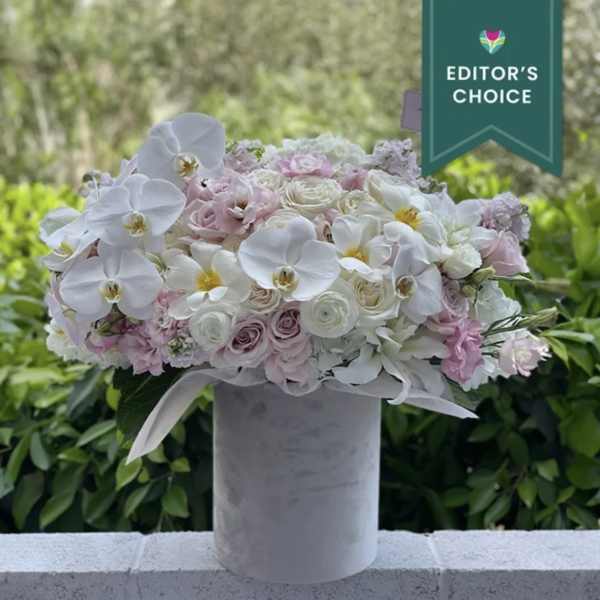 Orchids with flowers