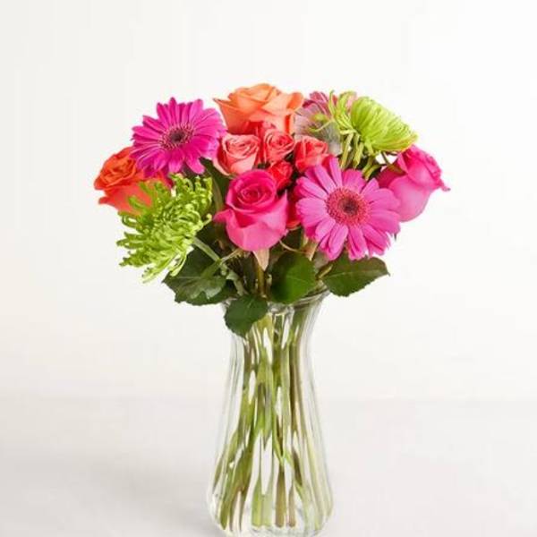 Vibrant Blooms Flower