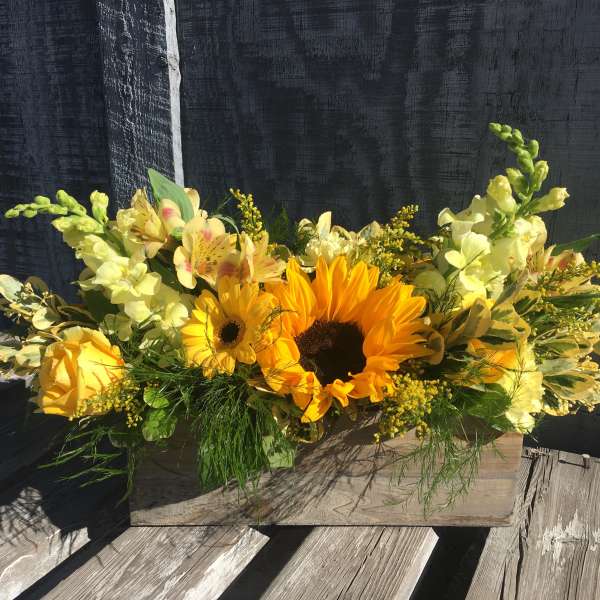 A Box of Sunshine