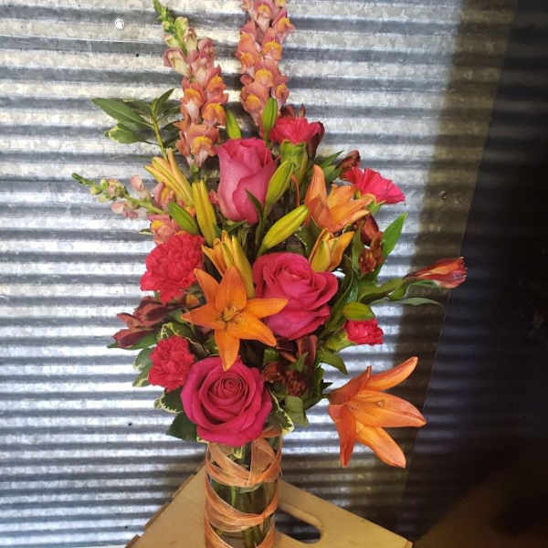 Orange Crush