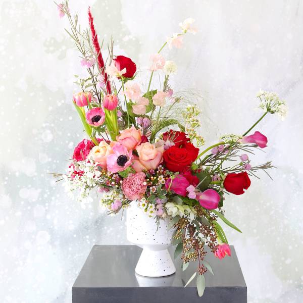 Moulin Rouge