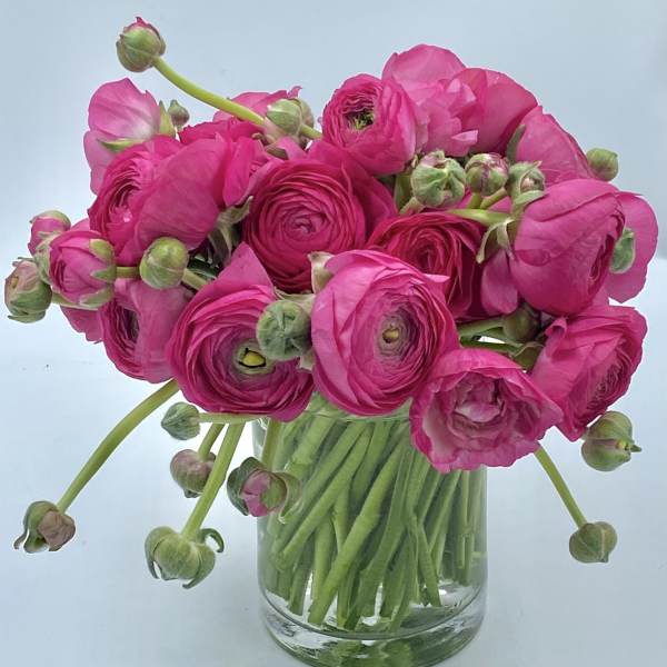 Pink ranunculus bouquet in a clear glass vase