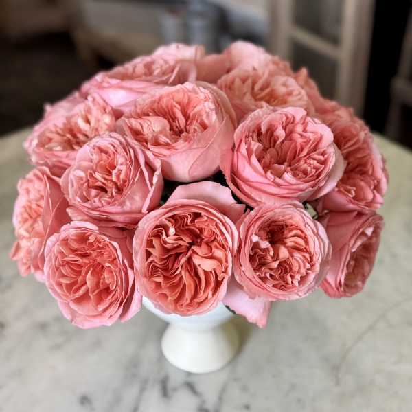 Bouquet of pink roses in a white vase