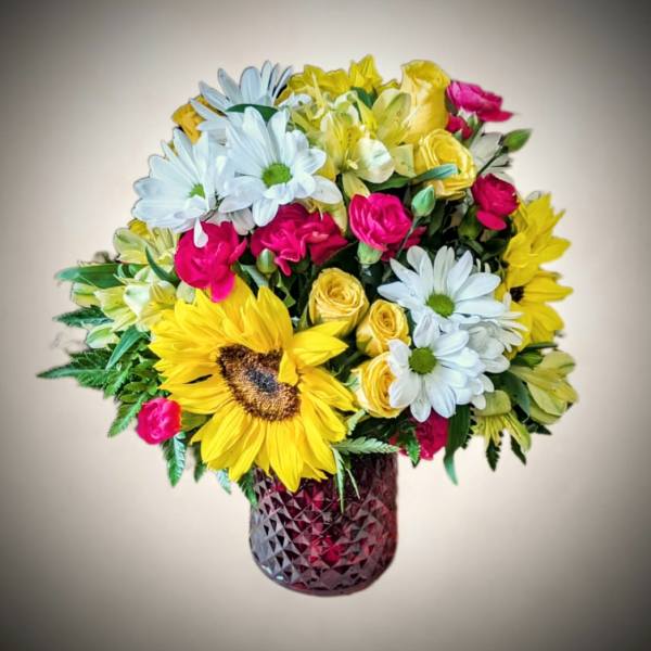 Sunny Celebration