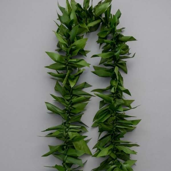 Two strands of green leaf garland laid on a plain gray background.