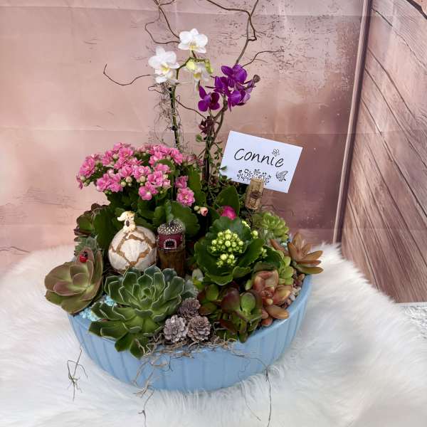 Golden Orchid Oasis