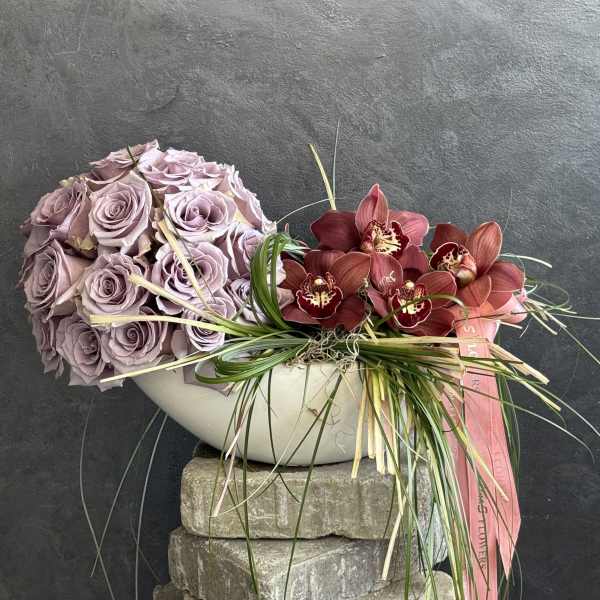 Orchid Muse