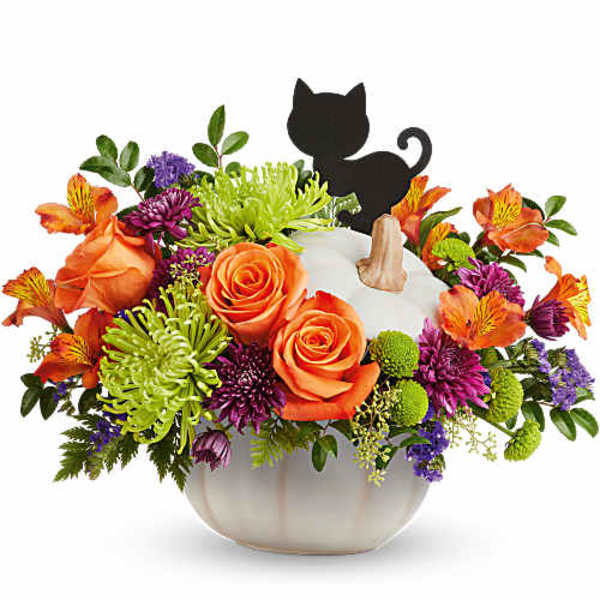 Orange roses and mixed flowers in a white pumpkin container with a black cat pick