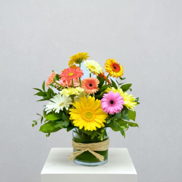 Colorful gerbera daisy bouquet in a glass vase with raffia tie