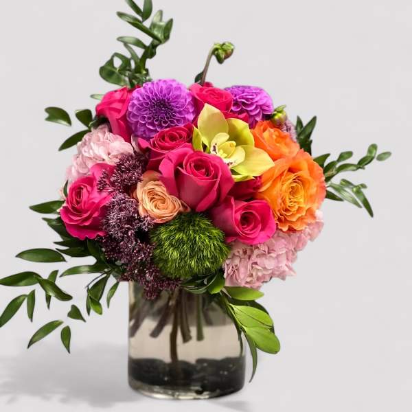 Aquarius
