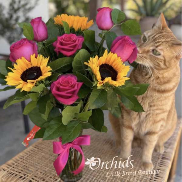 Sunflower Fuchsia Rose Bouquet | Cat Lover's Collection | Same-Day Flower Delivery