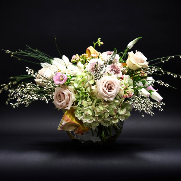 Toujour Paris