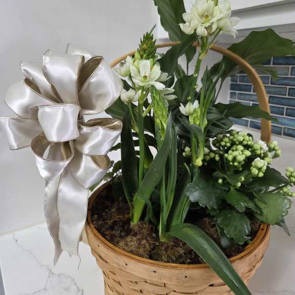 Multi Plant Basket