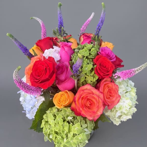 Rainbow