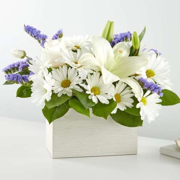 White daisies and lilies in a white box with purple accents