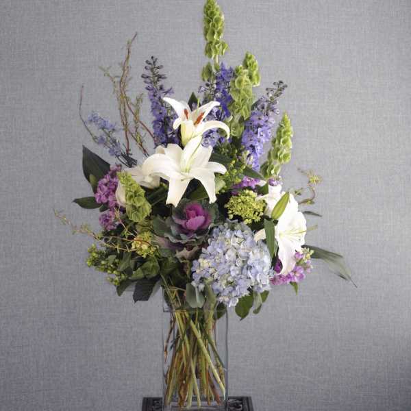 Delphinium Day Dream