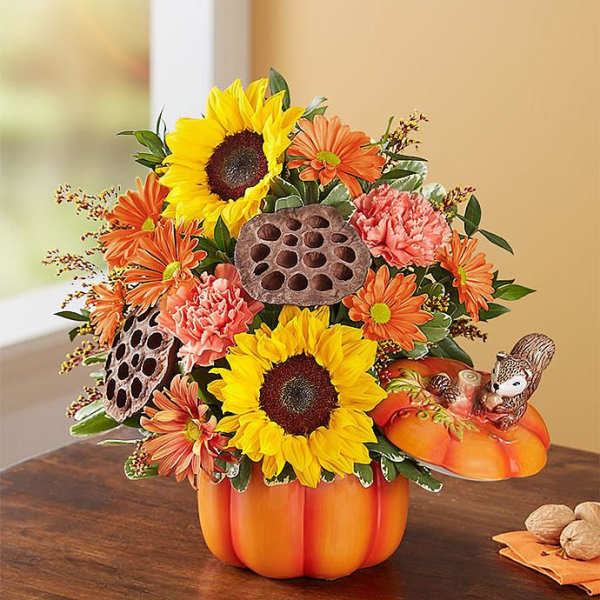 Pumpkin Patch