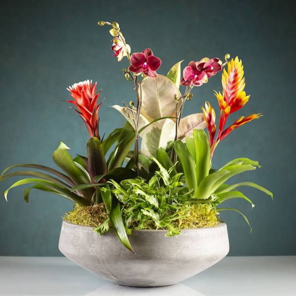 Tropical floral arrangement in a gray bowl vase