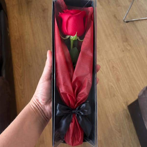 Single red rose in a clear gift box with red tissue and a black ribbon