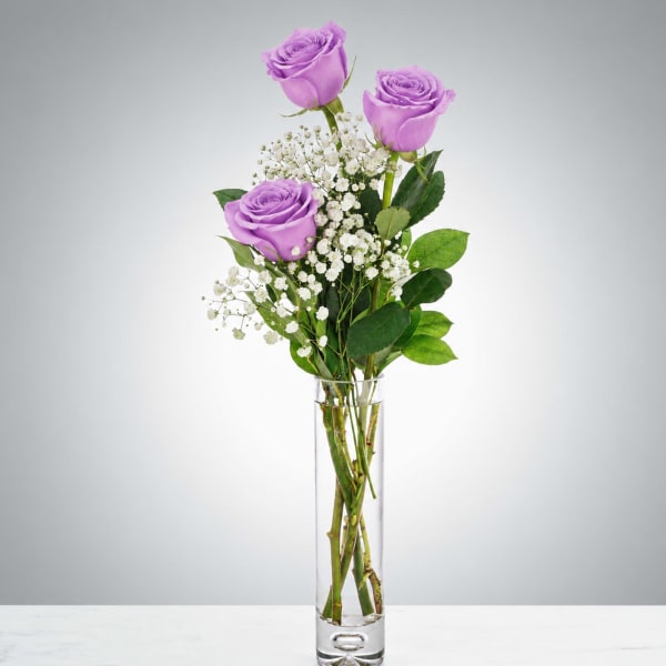 XO Lavander