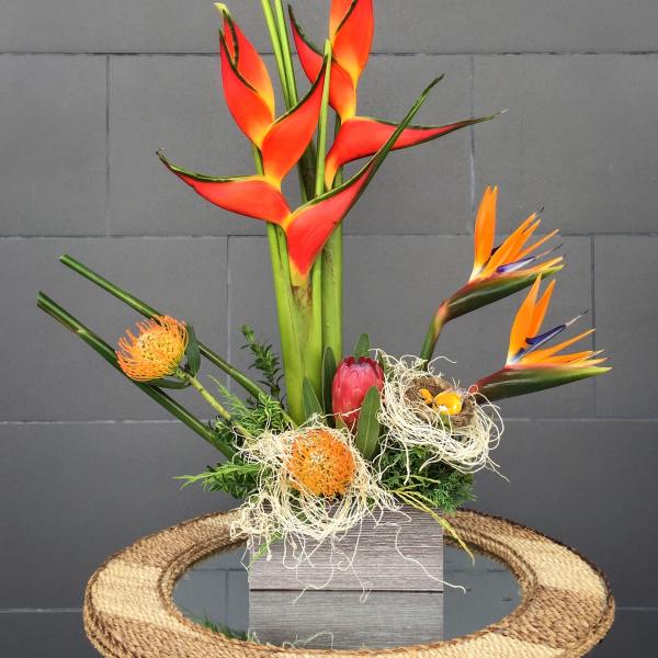 Tropical floral arrangement with orange bird-of-paradise and protea in a box