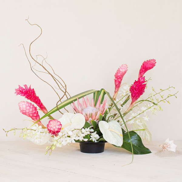Echo Effect (Out of Season)