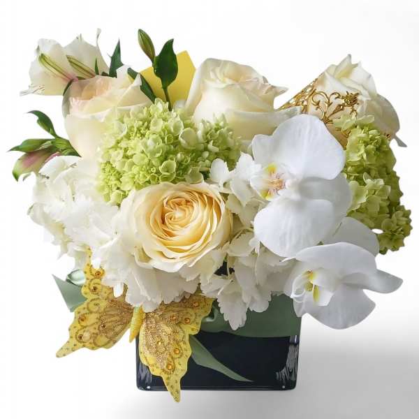 White roses, orchids, and hydrangeas in a black vase with gold butterfly accents