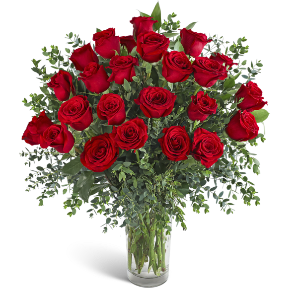 Two Dozen Red Hot Roses