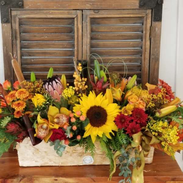 Adorable Fall