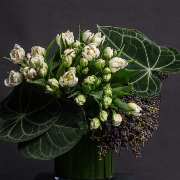 White tulips arranged with large dark green leaves in a glass vase