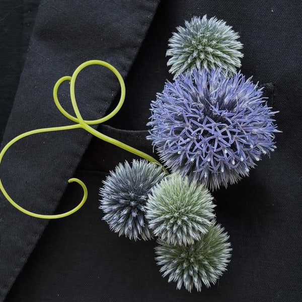 Cluster of spiky purple and green flowers on black fabric