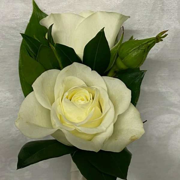White rose boutonniere with dark green leaves and satin ribbon
