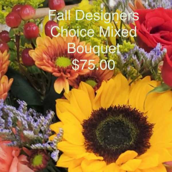 Designers Choice Mix