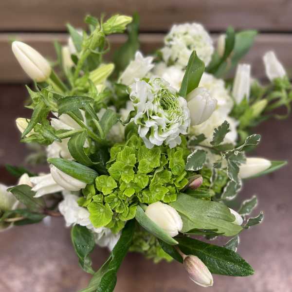 White tulips and green hydrangea in a hand-tied bouquet