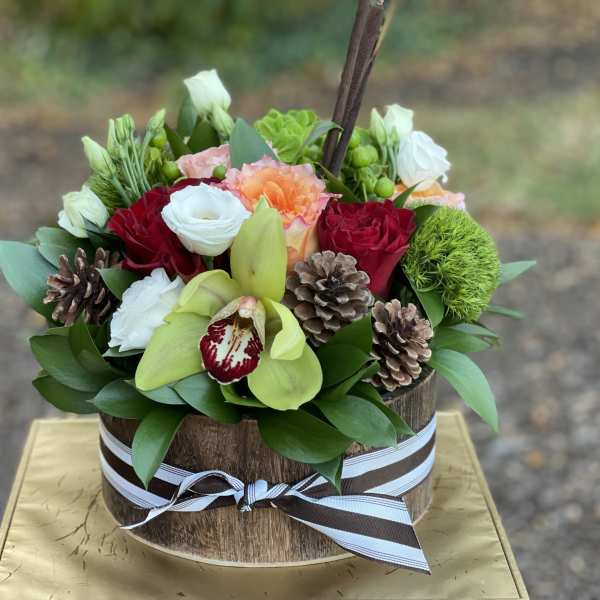 Pinecone Delight