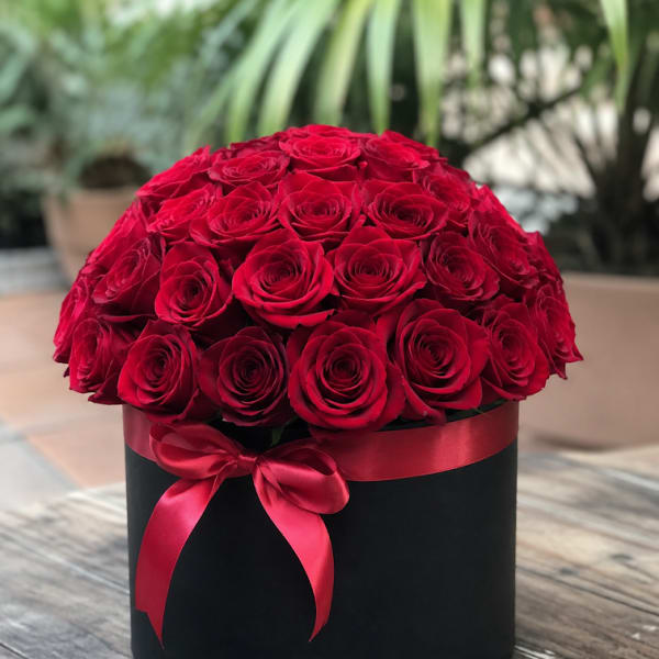 Red Elegance Box – 36 Roses