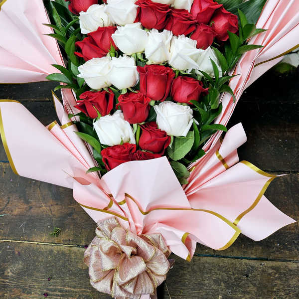 Bouquet of red and white roses wrapped in pink paper