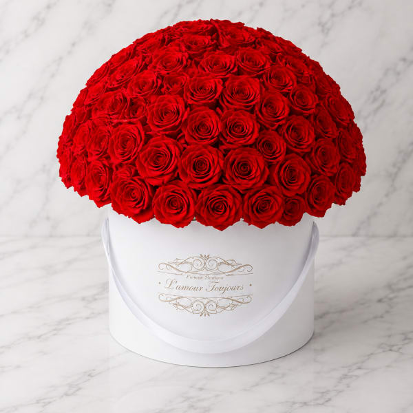 Large dome of red roses in a white round box