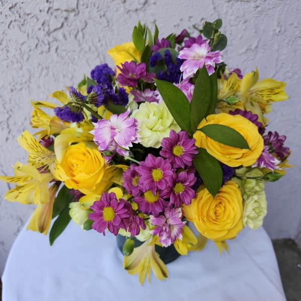 Solomino Bloom