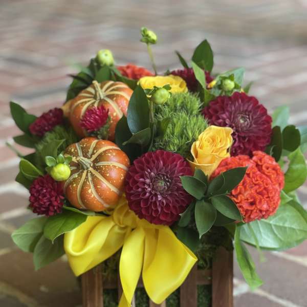Fall Picket Fence