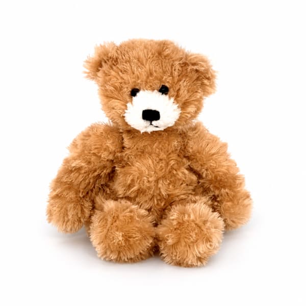 Brown teddy bear with a white snout sitting on a white background