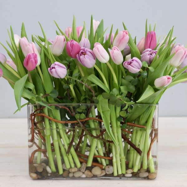 Pink and light purple tulips in a rectangular glass vase with stones and curly branches.