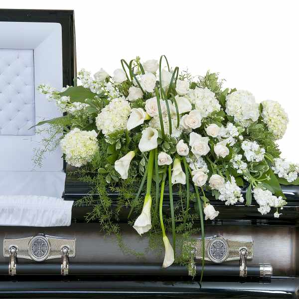 White and cream casket spray with roses, hydrangeas, and calla lilies on a black casket