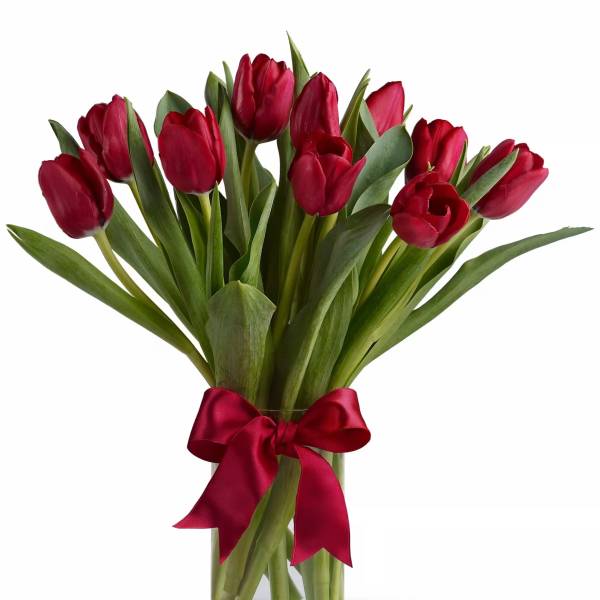 Red tulips in a clear glass vase with a red ribbon