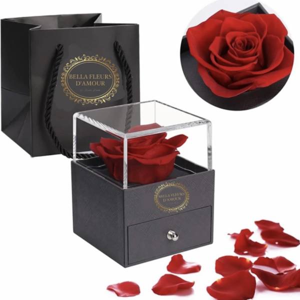 Red rose in a black gift box with a clear lid and scattered petals