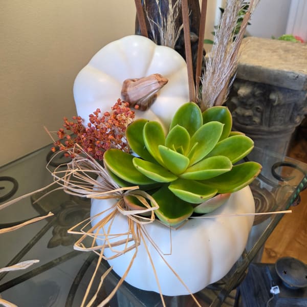 White pumpkin-shaped planter with a green succulent and dried grasses