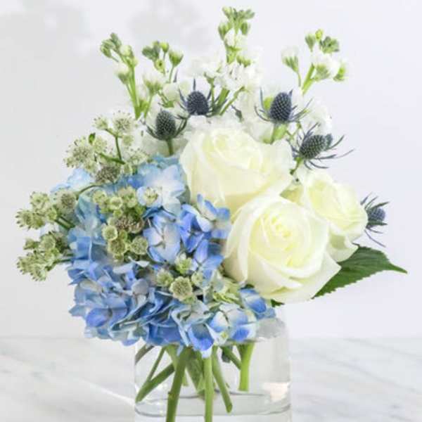 Blue hydrangeas and white roses in a clear glass vase