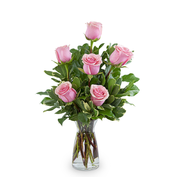 Pink Roses (6)