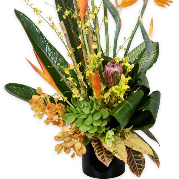 Tropical flower arrangement with orange bird-of-paradise blooms in a black vase