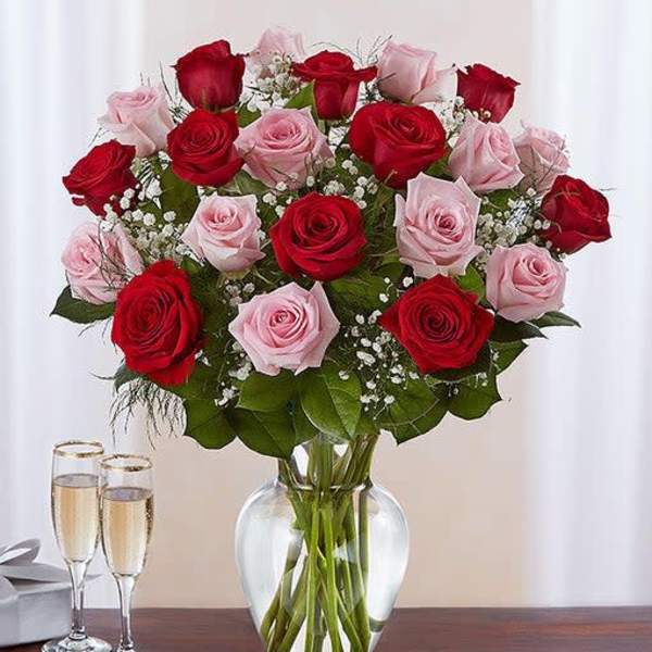 24 pink and red roes vased